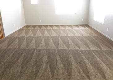 Clean Carpet inside a room