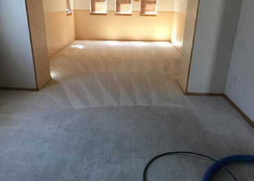 Clean Carpet inside a room