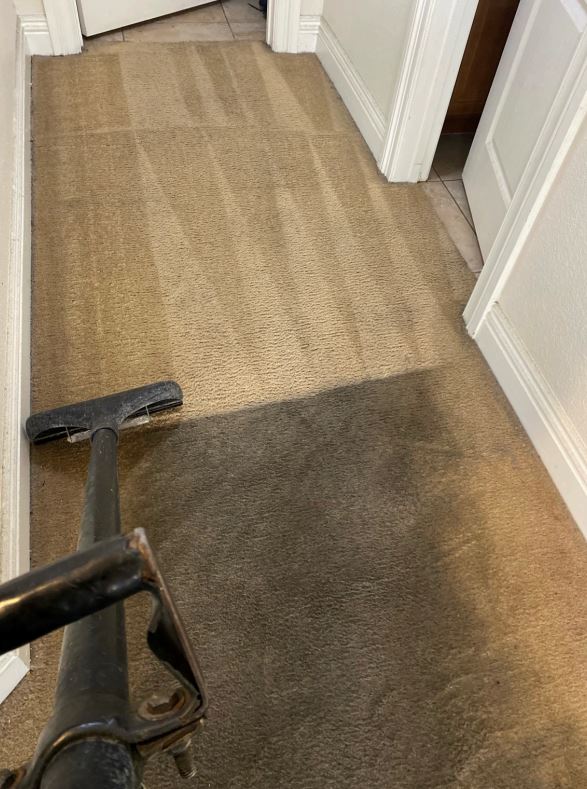 Green Carpet Cleaning